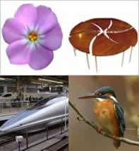 Sustainable Business